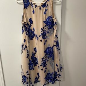 Blue and beige rose dress